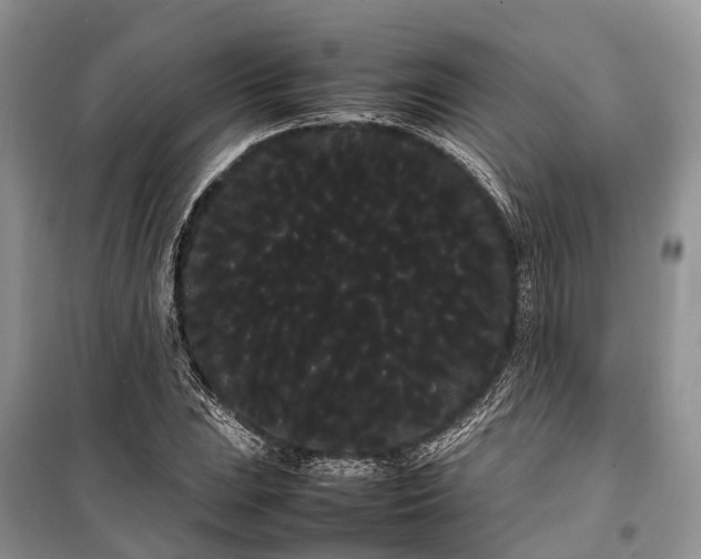 X0000100221023200806131309