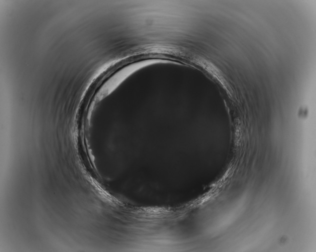 X0000100221024200806131309