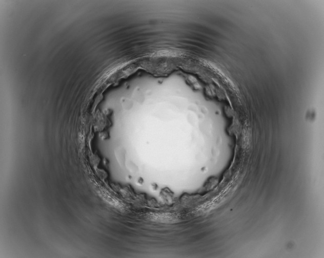 X0000100221025200806131309