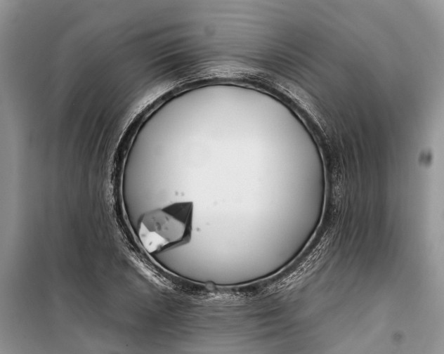 X0000100221026200806131309