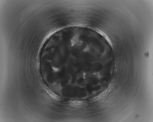 X0000100221027200806131309