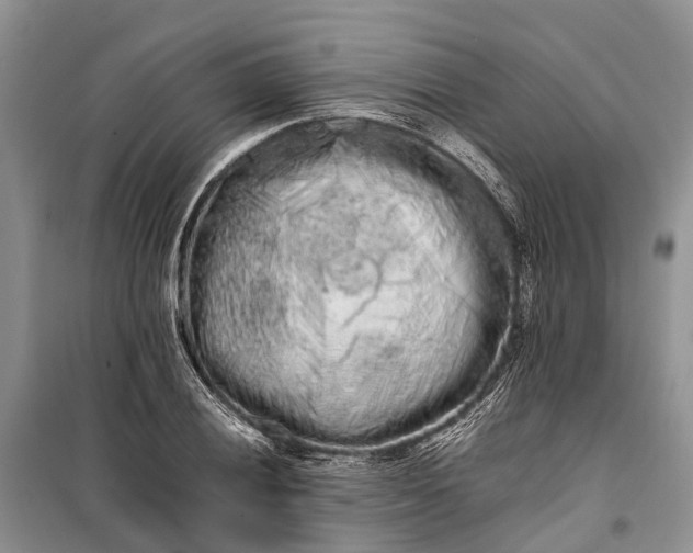 X0000100221028200806131309