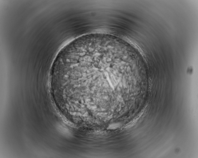 X0000100221029200806131309