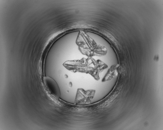 X0000100221030200806131309