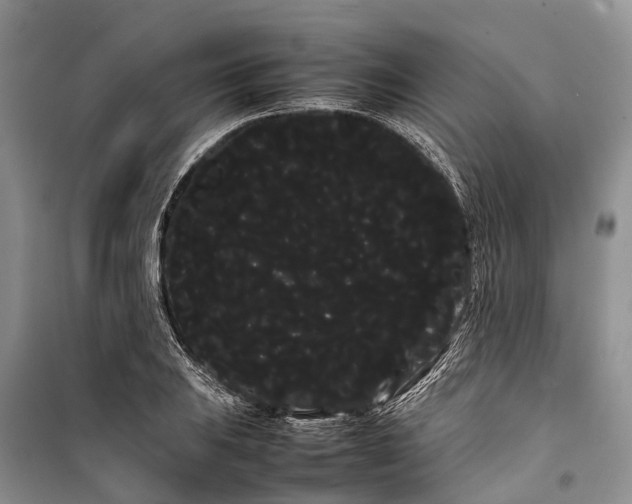 X0000100221031200806131309