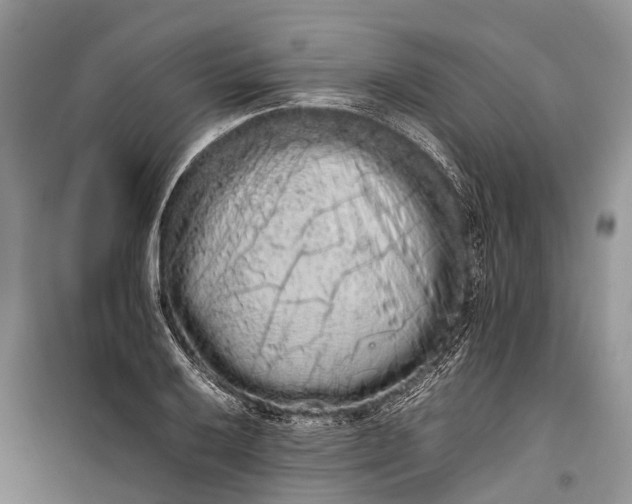 X0000100221032200806131310