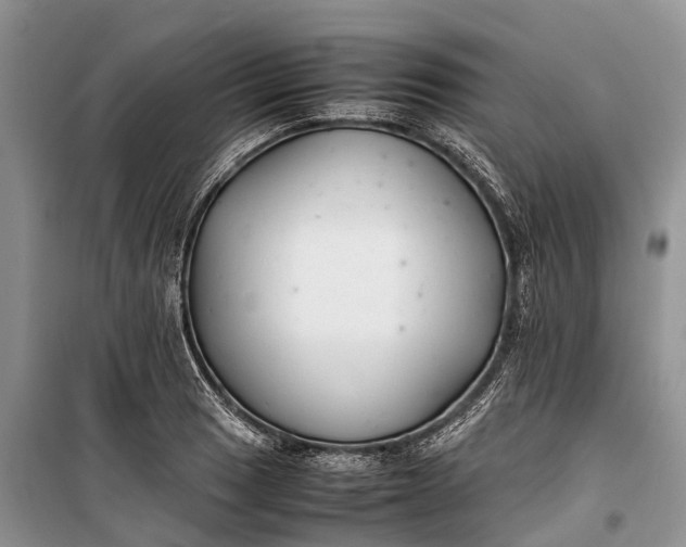 X0000100221033200806131310