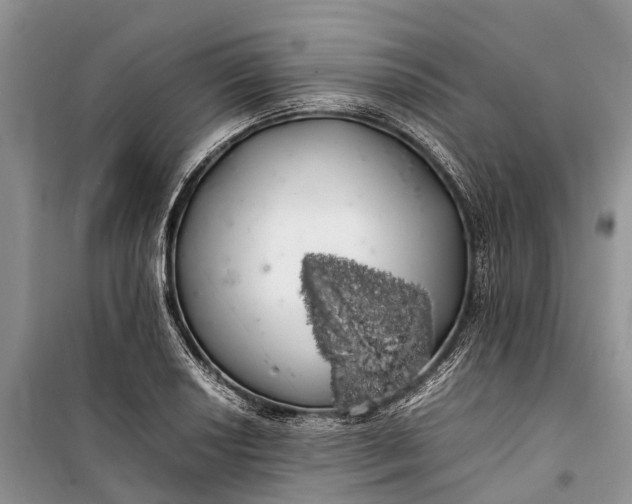 X0000100221034200806131310