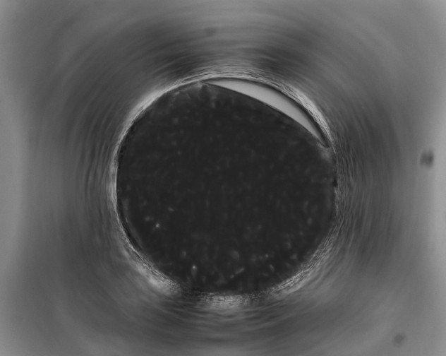 X0000100221035200806131310