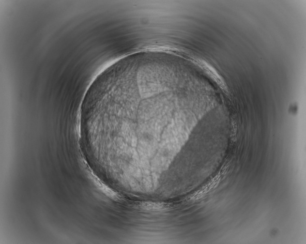 X0000100221036200806131310