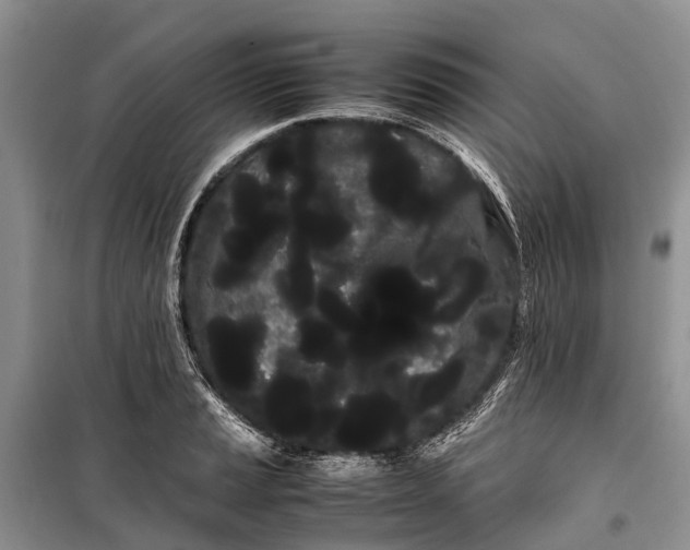 X0000100221037200806131310