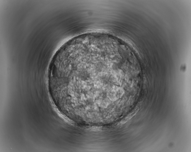 X0000100221038200806131310