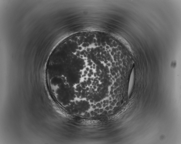 X0000100221039200806131310