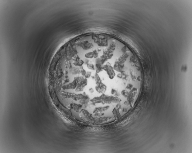 X0000100221040200806131310