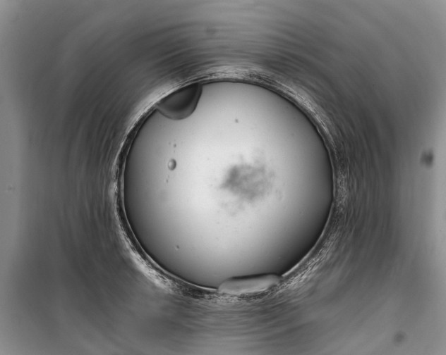 X0000100221042200806131310