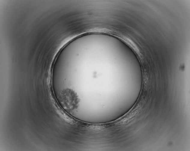 X0000100221044200806131310