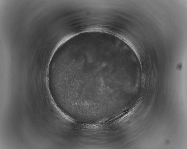 X0000100221045200806131310