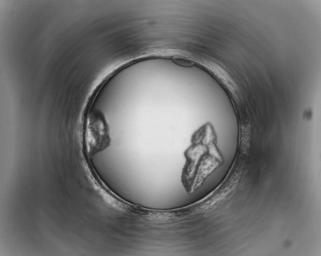 X0000100221046200806131310