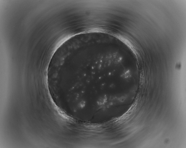 X0000100221047200806131310