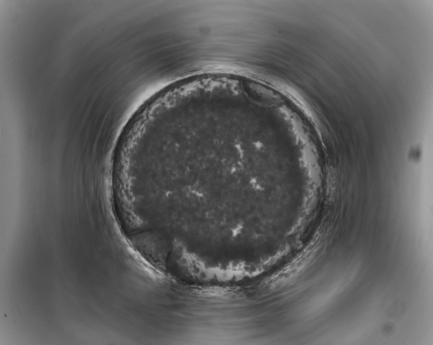 X0000100221048200806131310