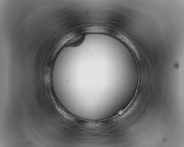 X0000100221049200806131310