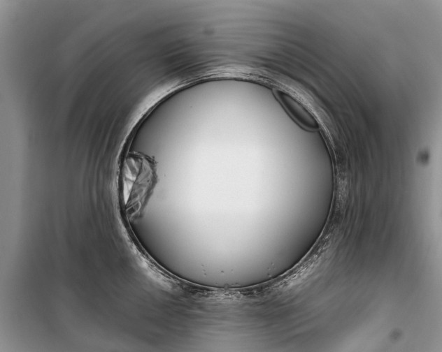 X0000100221050200806131310