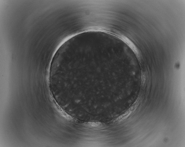 X0000100221052200806131310