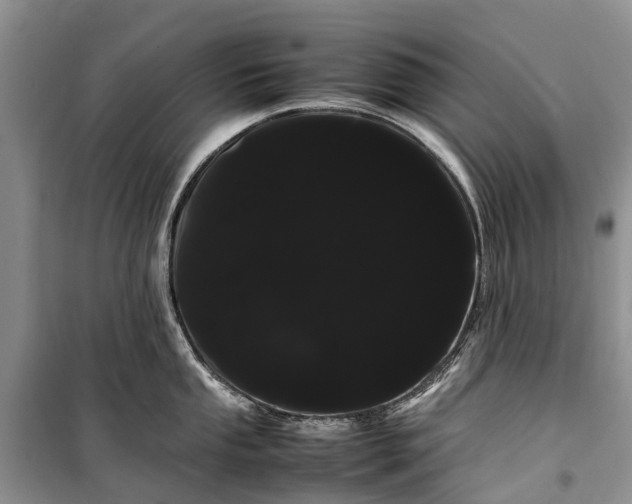 X0000100221053200806131310