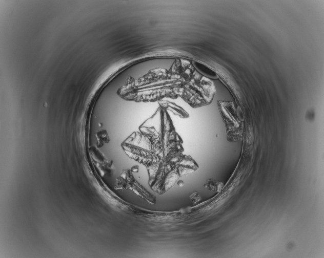 X0000100221054200806131310