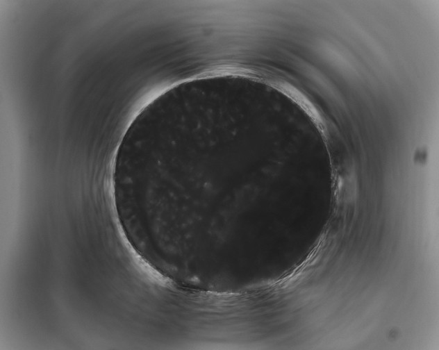 X0000100221055200806131310