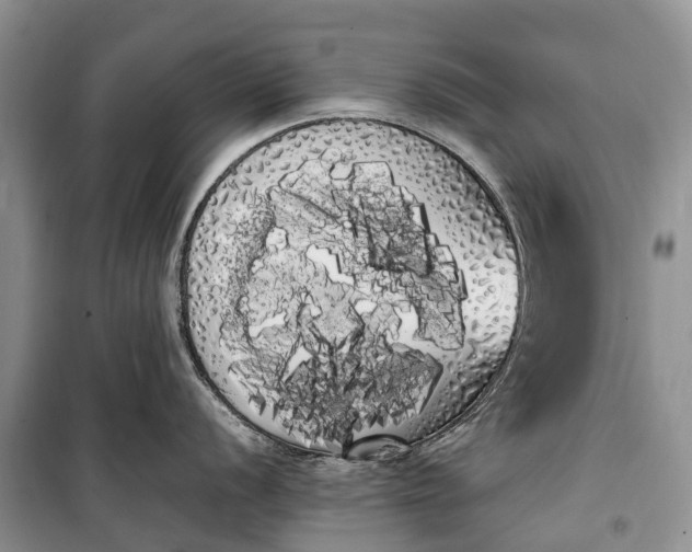 X0000100221056200806131310