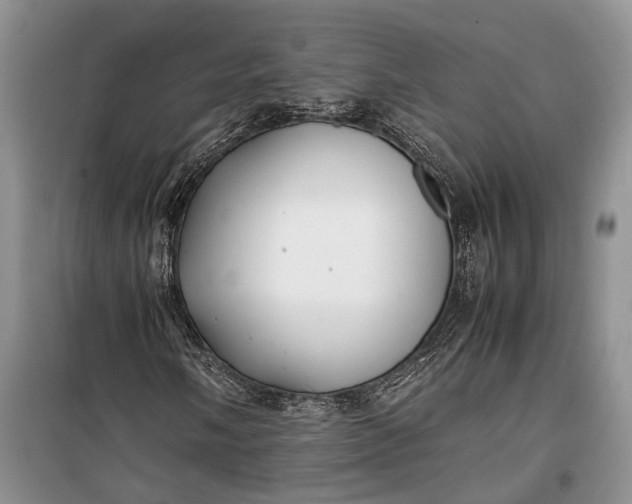 X0000100221058200806131309