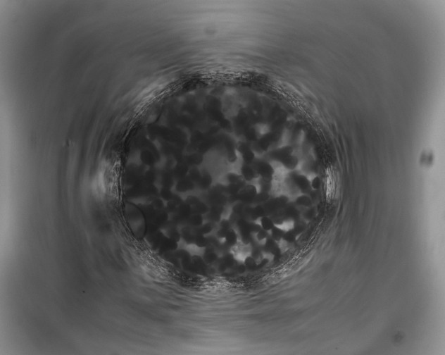 X0000100221059200806131309