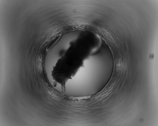 X0000100221060200806131309