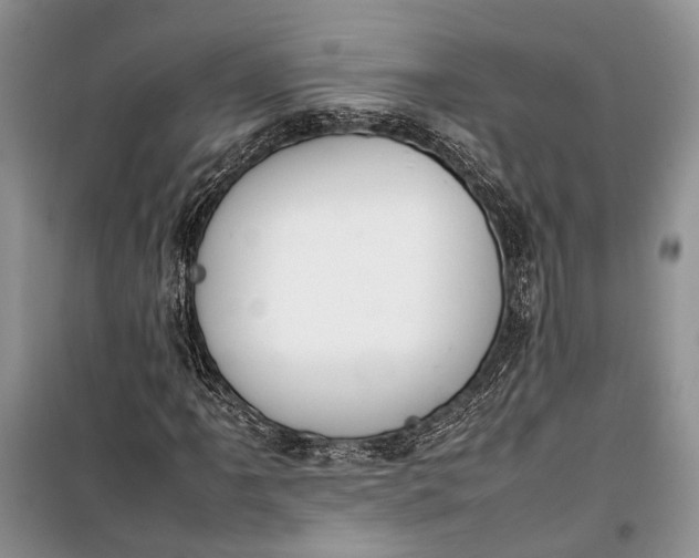 X0000100221061200806131309