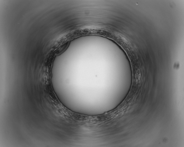 X0000100221062200806131309