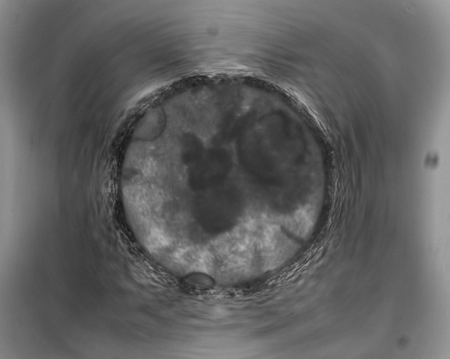 X0000100221063200806131309