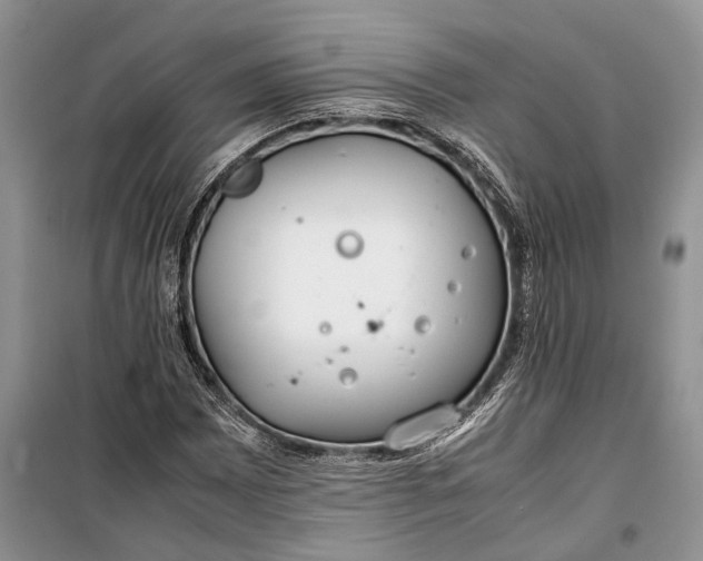 X0000100221065200806131309