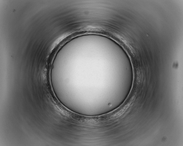 X0000100221066200806131309