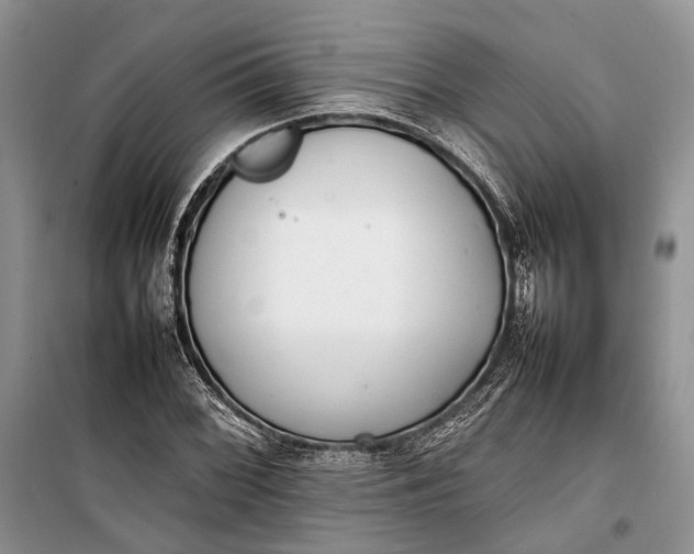 X0000100221068200806131309