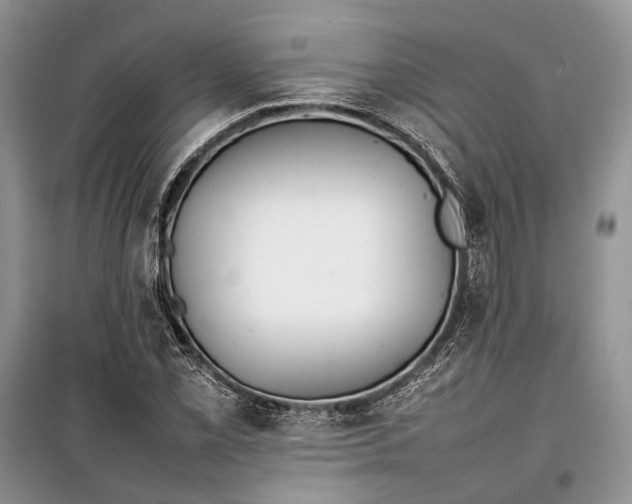 X0000100221069200806131309