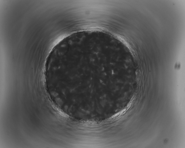 X0000100221071200806131309