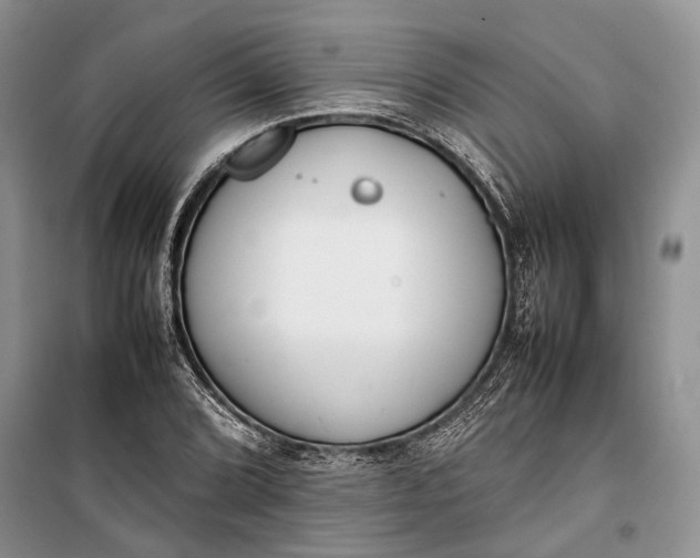 X0000100221072200806131309