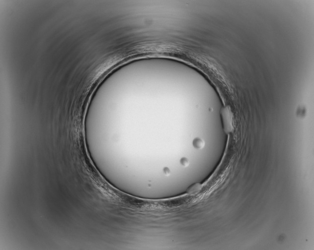 X0000100221073200806131309