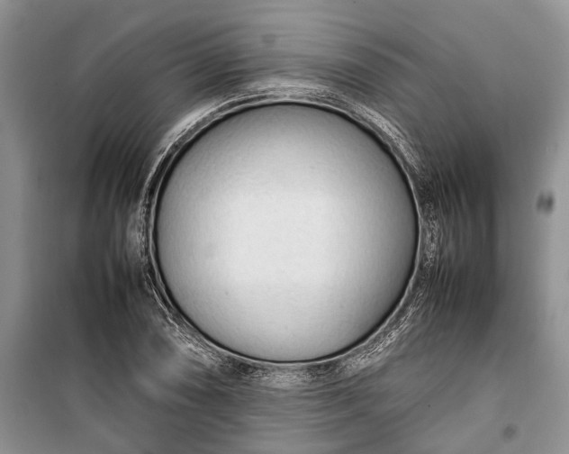 X0000100221074200806131309