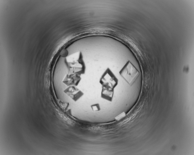 X0000100221075200806131309