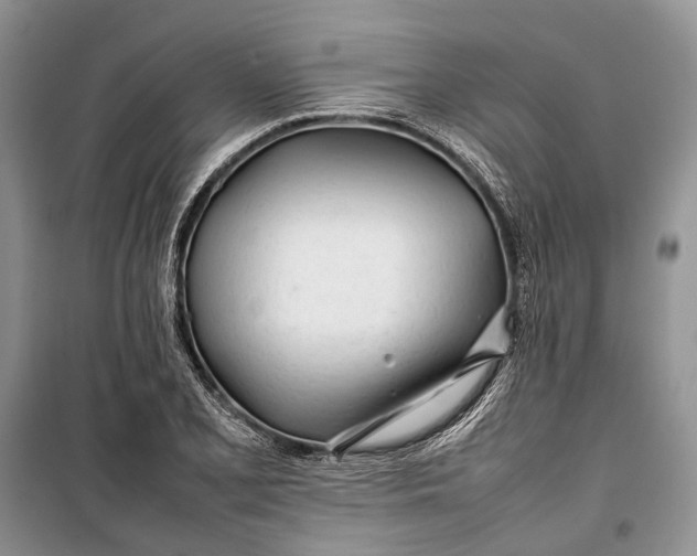 X0000100221077200806131309