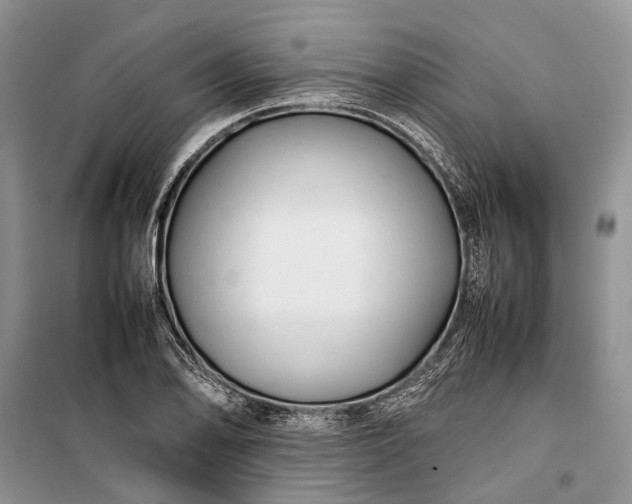 X0000100221078200806131309