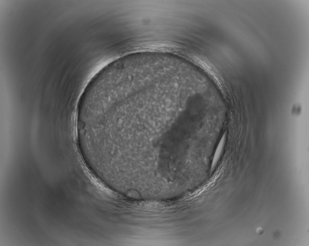 X0000100221079200806131309