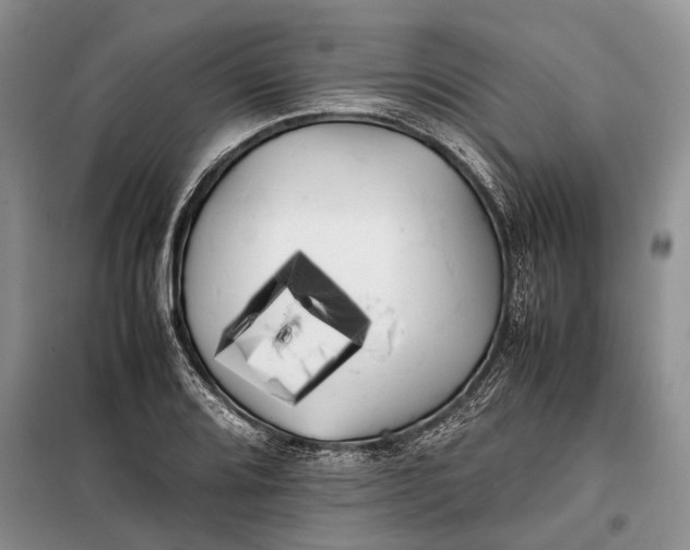 X0000100221080200806131309